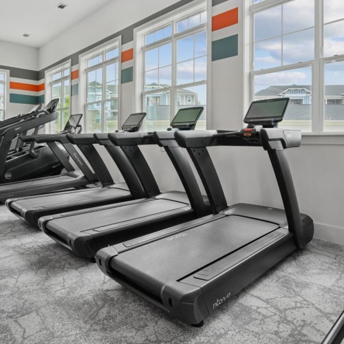 treadmills in gym