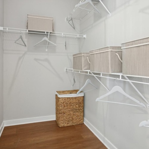 shelving in bright walk-in closet